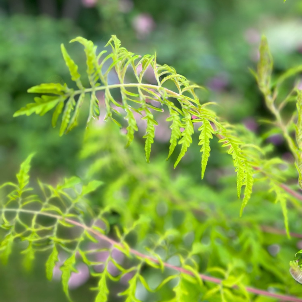 Meet your Posher, Kathleen